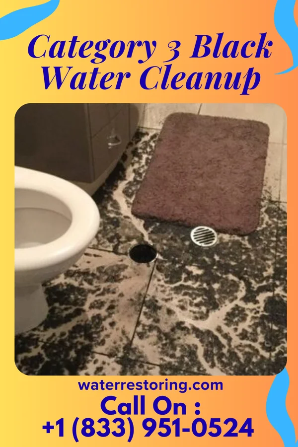 Category 3 Black Water Cleanup in Cashion Community, TX