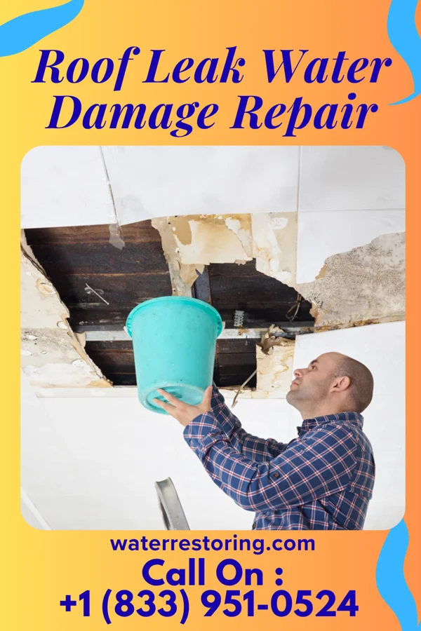Roof Leak Water Damage Repair in Cashion Community, TX