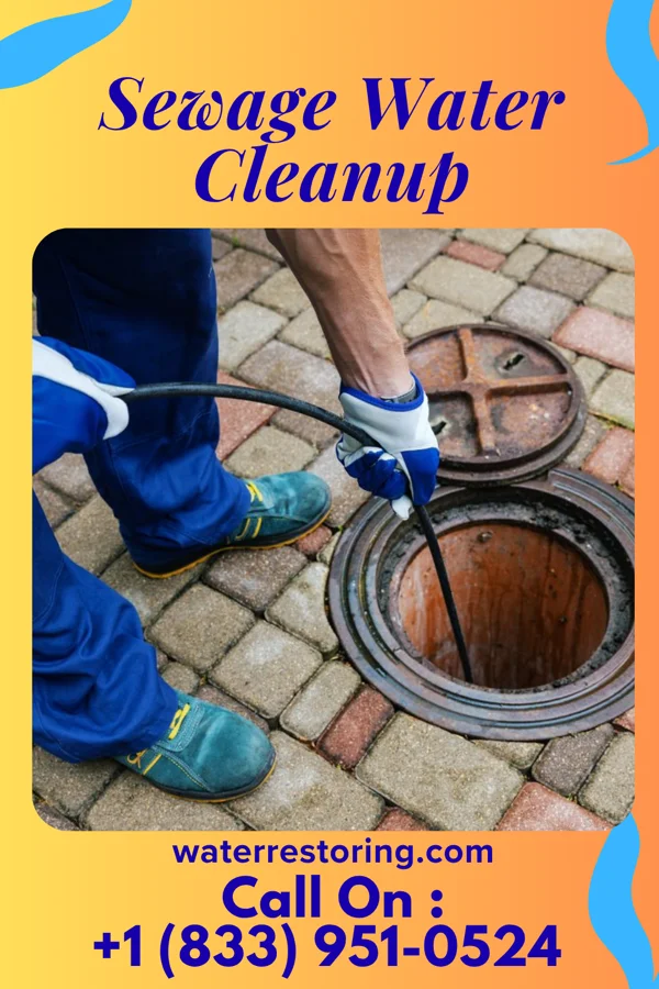 Sewage Water Cleanup in Cashion Community, TX