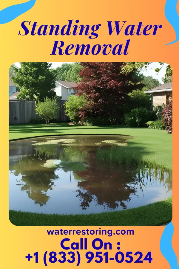 Standing Water Removal in Cashion Community, TX